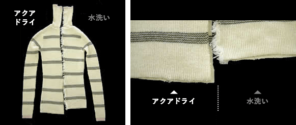 レシリアンとは?