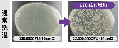 黄色ブドウ球菌に対する抵抗効果実験結果（フェースタオル）
