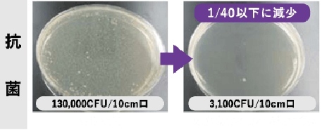 黄色ブドウ球菌に対する抵抗効果実験結果（フェースタオル）