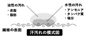 黄ばみのメカニズム