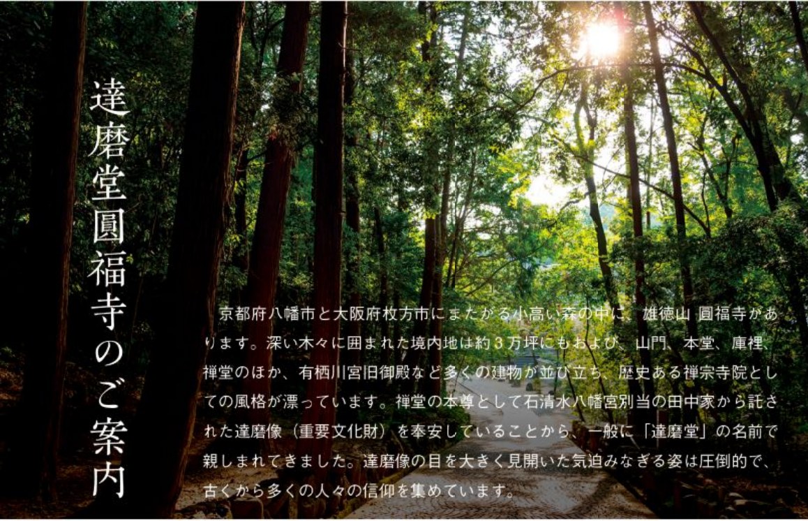 達磨堂圓福寺のご案内