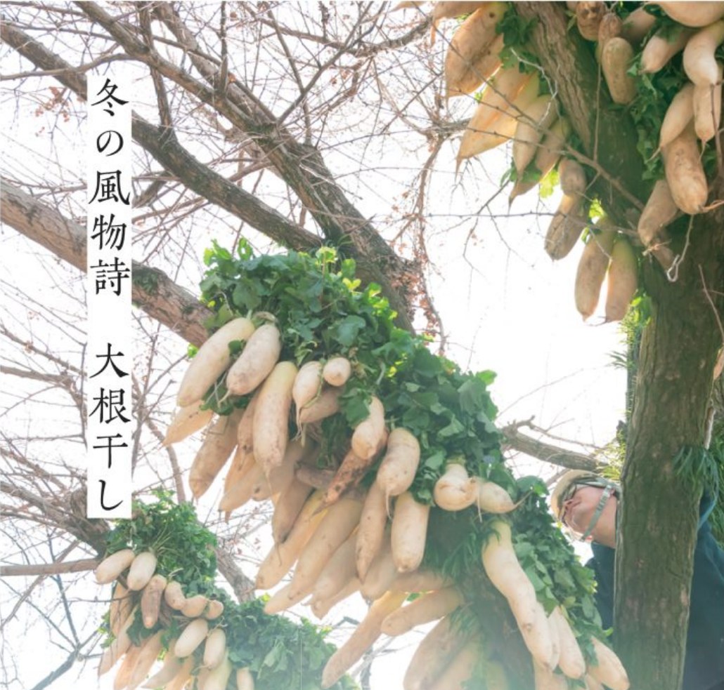 大根干し