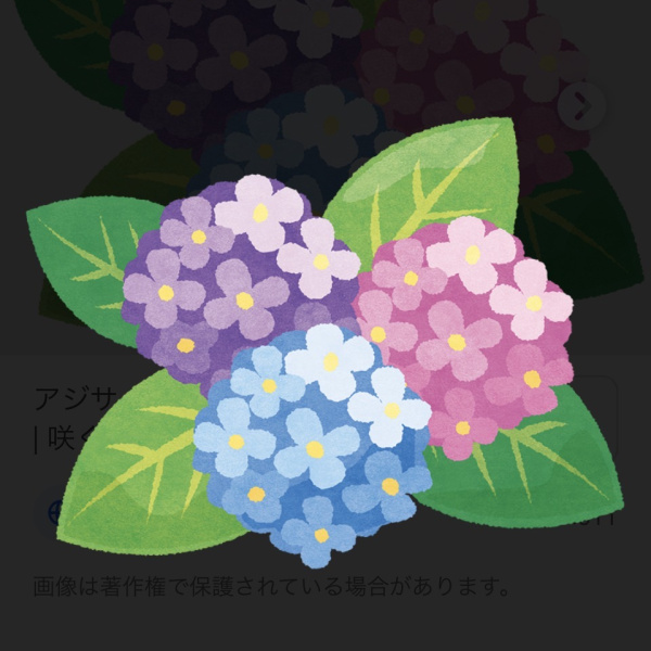 コモモ